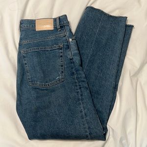 Everlane The Way High Jean